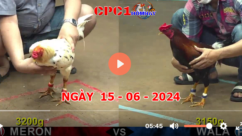 Đá gà CPC1 ngày 15-06-2024