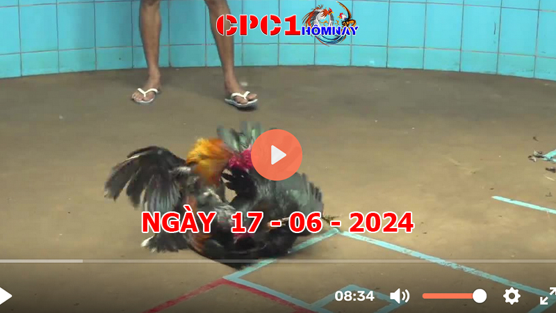 Đá gà CPC1 ngày 17-06-2024