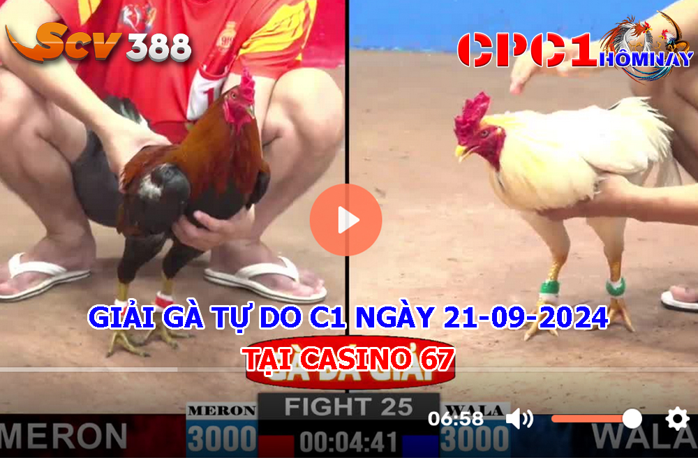 Giải Gà Tự Do C1 ngày 21-09-2024 tại Casino 67