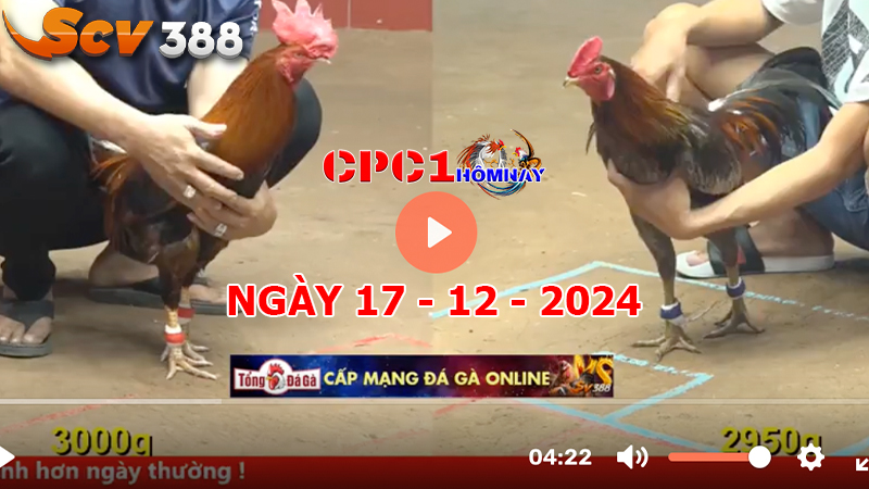 Đá gà CPC1 ngày 17-12-2024