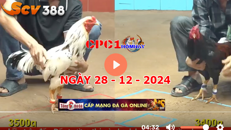 Đá gà CPC1 ngày 28-12-2024